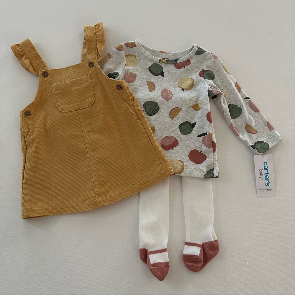 Carter’s 9 Months Baby Girl Fall Outfit Top Dress Tights Set